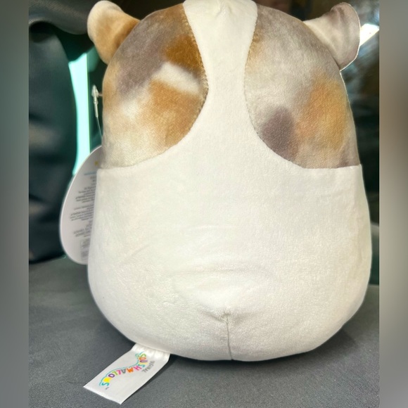 Original Squishmallows Pax the Guinea Pig NWT - Picture 3 of 7